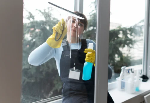 Nettoyage de vitres intérieures et extérieures à Beautor